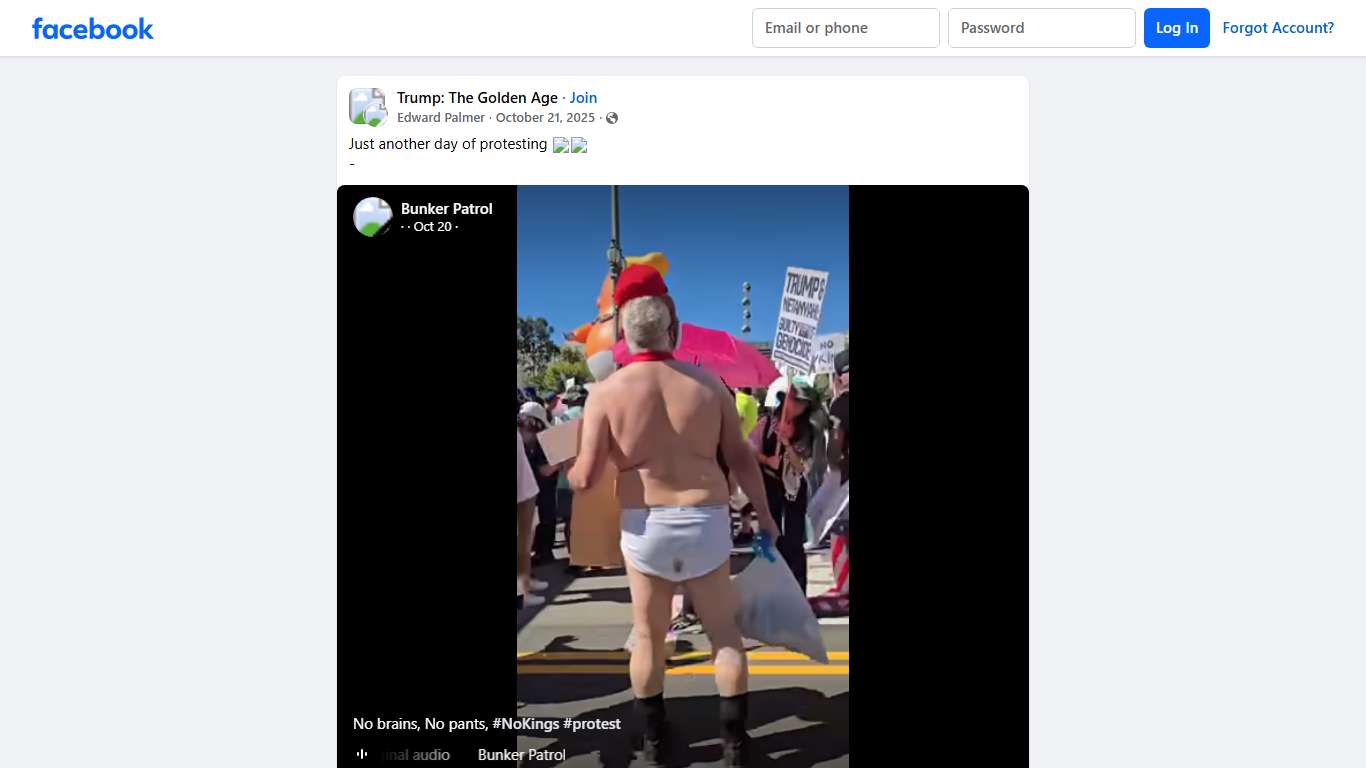 Trump: The Golden Age | Just another day of protesting 🥴🤣 | Facebook
